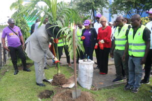 Lutte contre le changement climatique