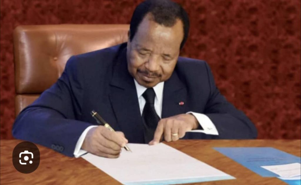 WhatsApp Image 2025-12-09 at 17.11.16